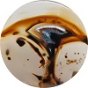 Montana Agate